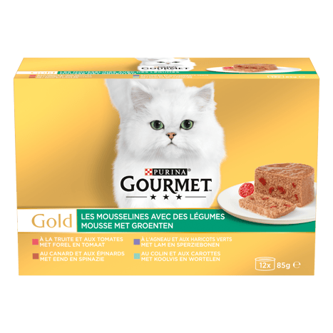Alimentation humide chat