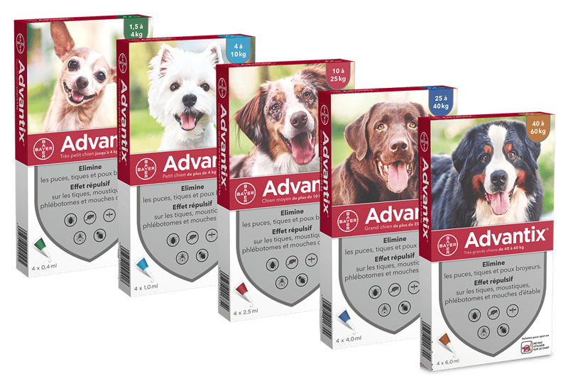 Advantix-family-pack-chien-hond