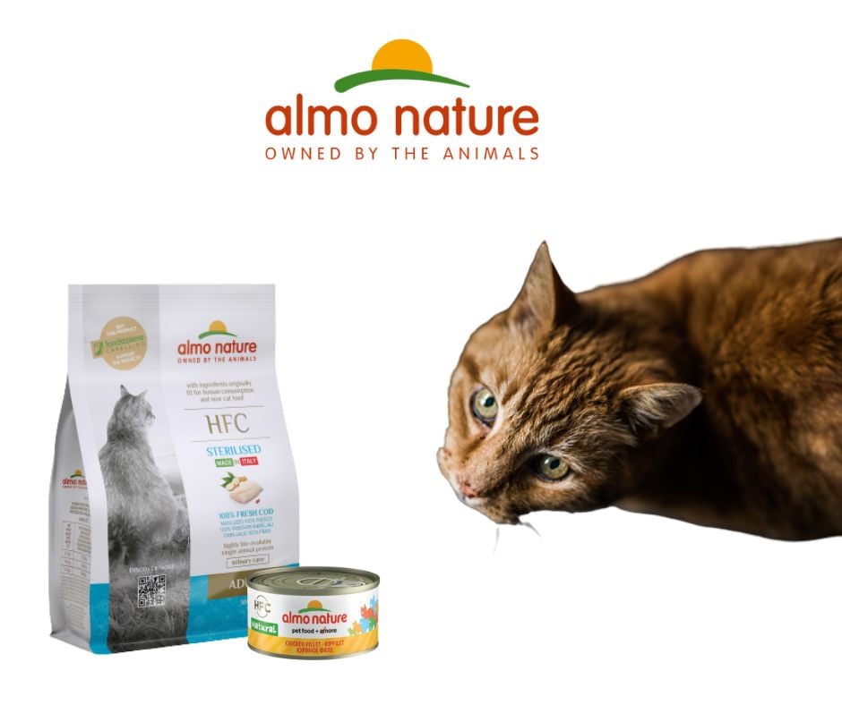 Almo-Nature-HFC-dry-kat-chat