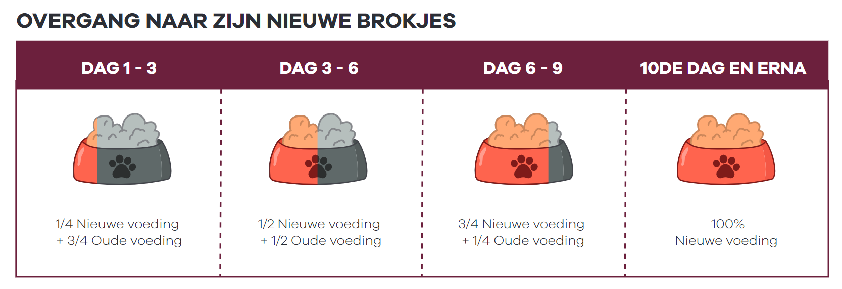 Hond-kat-hoe-verander-ik-van-oude-voeding-naar-nieuwe-brokken-overgangsfase-stappenplan