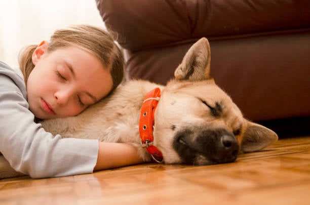 Hond-met-oranje-halsband-slaapt-samen-met-kind-binnen-op-de-grond