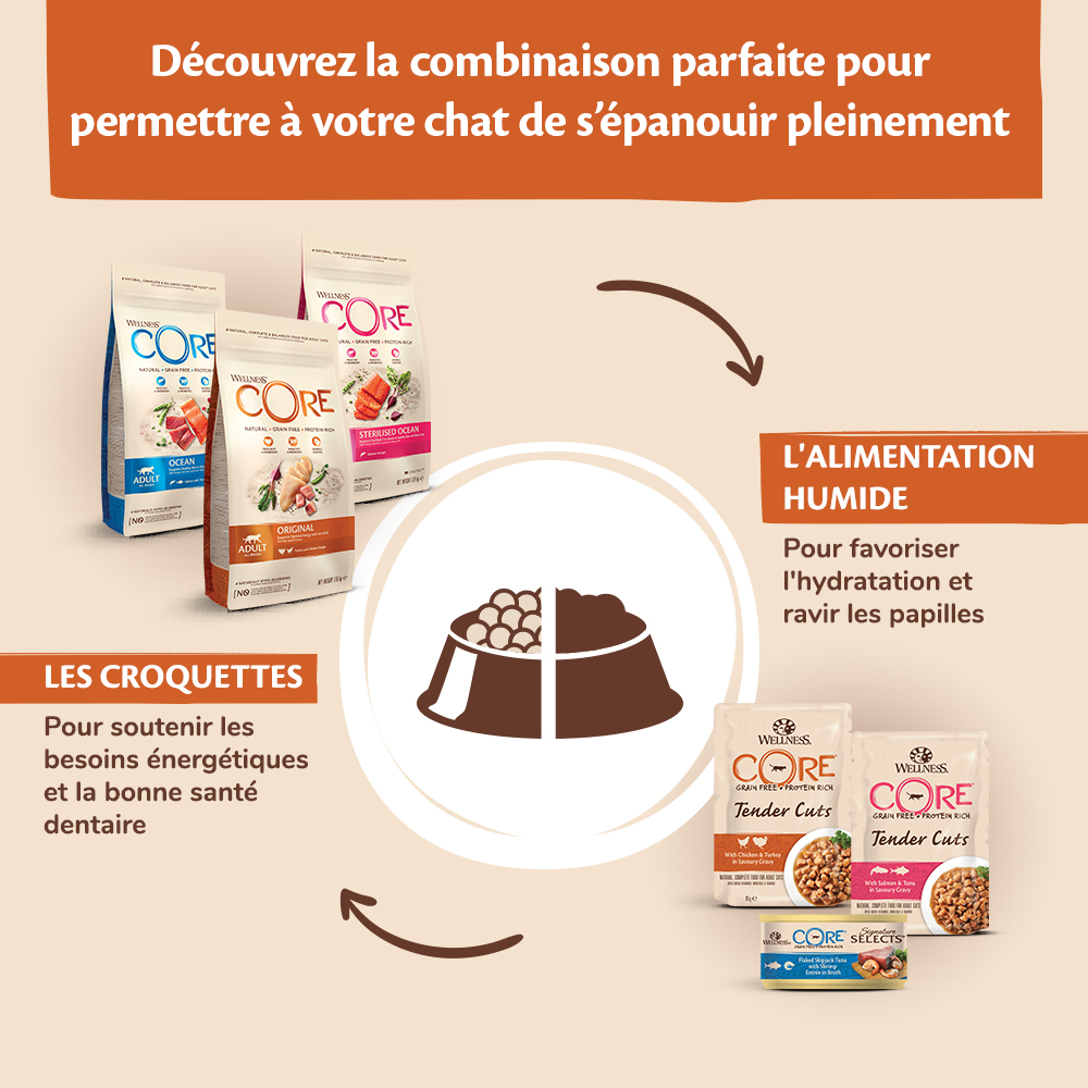 Fournisseur-Wellness CORE-chat-croquettes-alimentation-humide-mixed-feeding