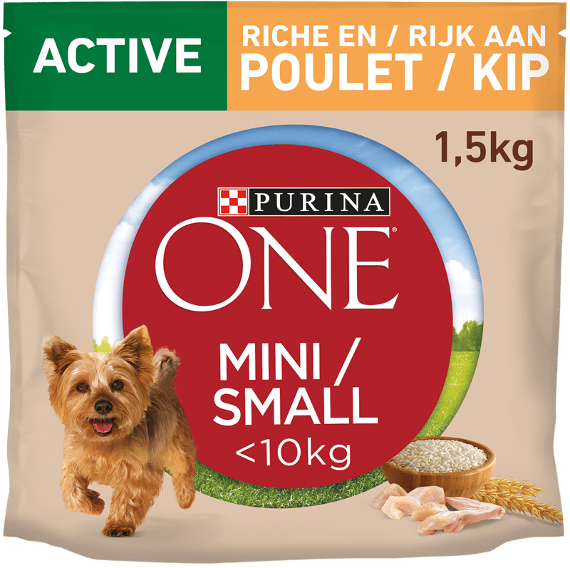 Fournisseurr_Purina_One Dog Rich in Chicken With Rice_1500x1500-1