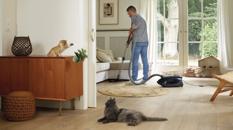 Leverancier-Beaphar-catcomfort-kat-kitten-spelend-in-woonkamer