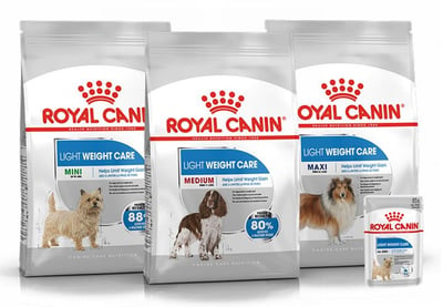 Royal canin light weight care. Royal Canin Maxi Light Weight Care. Royal Canin Mini Light Weight Care. Роял Канин Кэре нутришон. Роял Канин Лайт Вейт соответствие граммов объему.