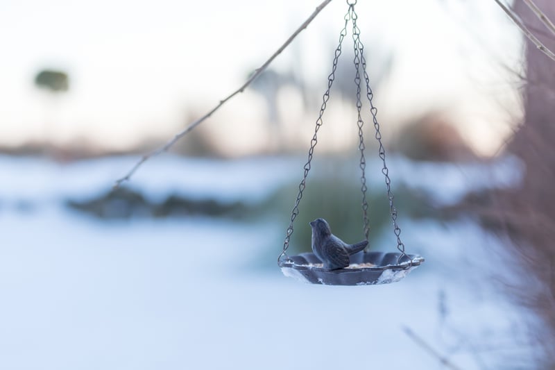Leverancier-Trixie-voederbord-vogelbad-metaal-vogels-winter