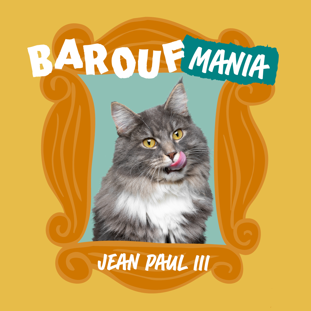Barouf-brokken-cat-mania