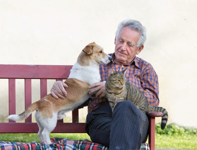 Vieux monsieur avec chien et chat dans le jardin