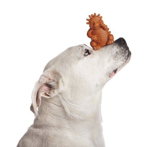 Whimzees-chien-hond-stafford-min-removebg-preview