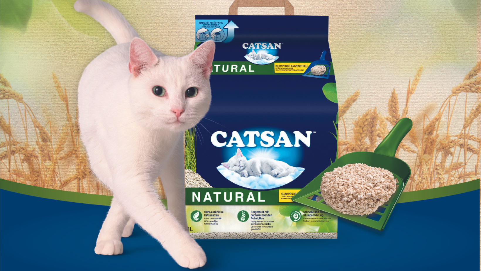 litière catsan avec chat blanc