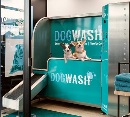 self service dogwash bij Tom&Co
