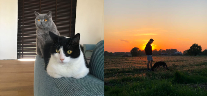 Eline's katten Balthazar en Oscar (linkerfoto) en hond Flavie in de velden (rechterfoto).