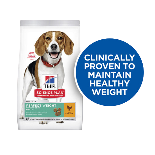hill-s-science-plan-adult-perfect-weight-medium-hondenvoer-kip-12kg-croquettes-pour-chien-poulet-removebg-preview