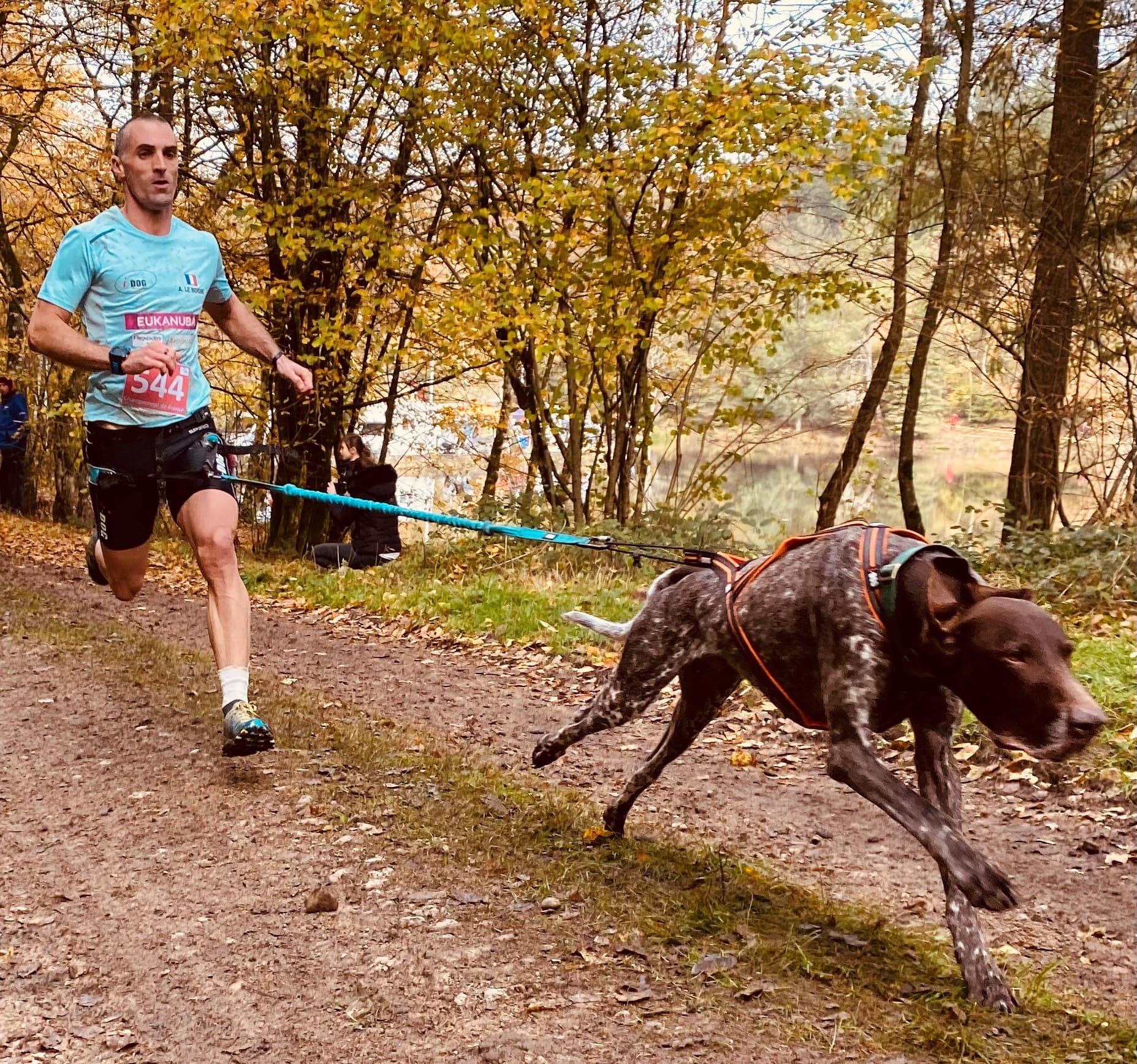 Canicross : le plaisir de courir avec son chien