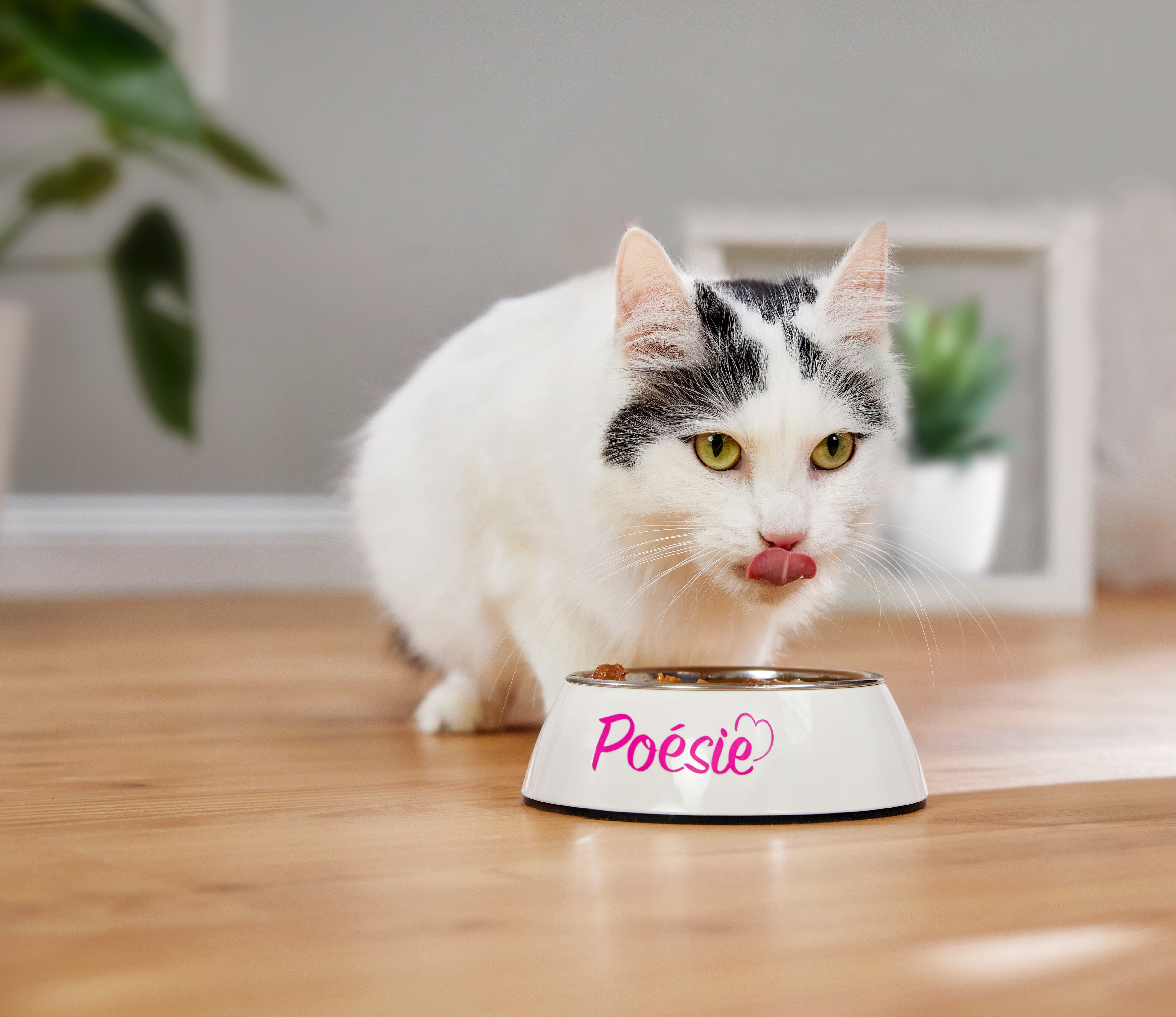 klep Amuseren scherm Katten en hitte: 7 tips van Vitakraft Poésie®